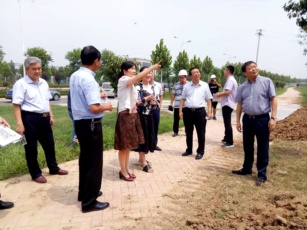 市、區(qū)領(lǐng)導(dǎo)參觀泰投創(chuàng)新生態(tài)社區(qū)科技園項(xiàng)目